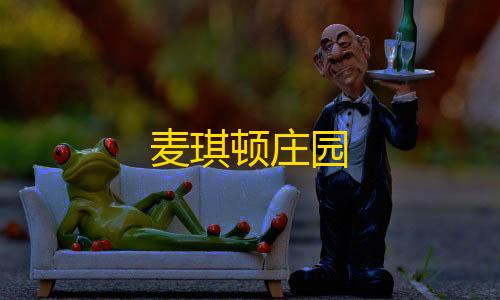 44. 高防免备案网站的最佳选择麦琪顿庄园